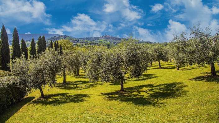 Blick auf San Gimignano