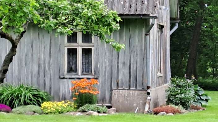Ein kleines Holzhaus mit einem Fenster und einem Baum davor