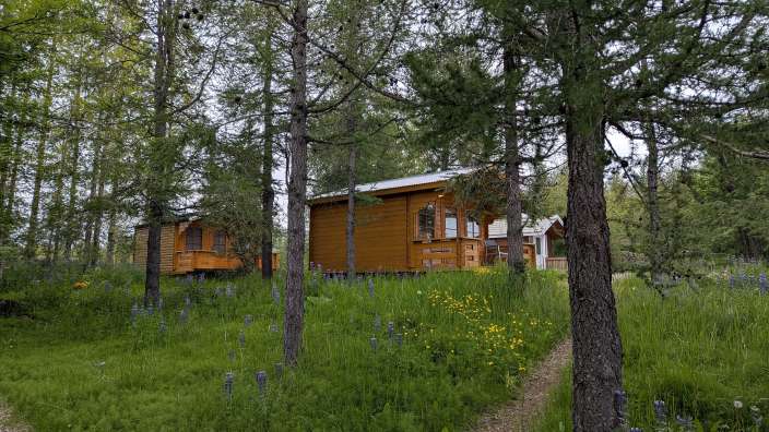 Ein kleines Holzhaus inmitten eines Waldes
