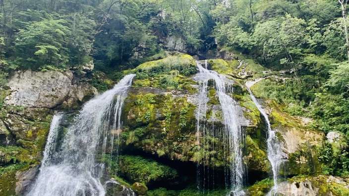 Ein Wasserfall inmitten eines grünen Waldes