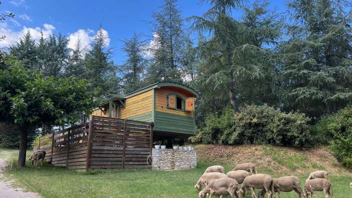 Eine Herde Schafe steht vor einem kleinen Haus