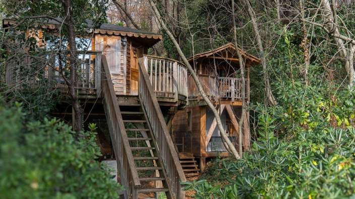 Eine Treppe führt zu einem Baumhaus im Wald
