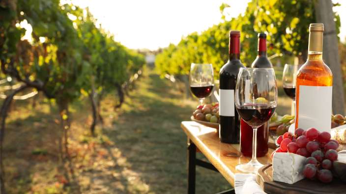 Weinflaschen und Gläser auf einem Tisch in einem Weinberg