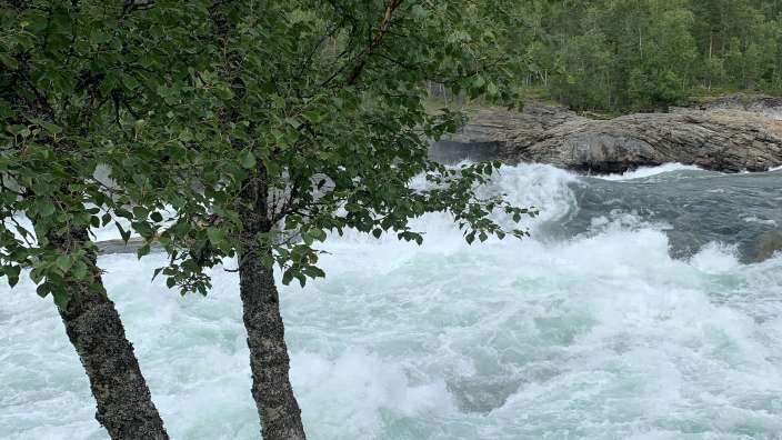 Ein Fluss mit einem Baum im Vordergrund