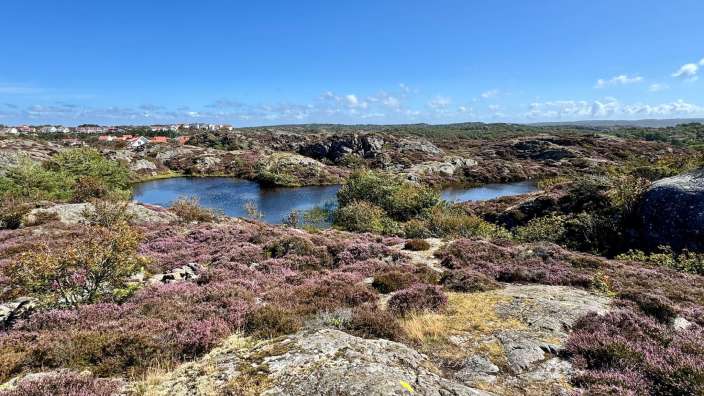 Ein kleiner Teich inmitten einer felsigen Landschaft