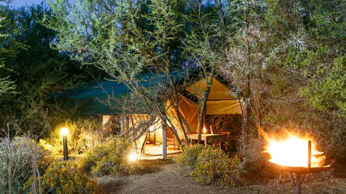 Ein Zelt befindet sich in einem Wald neben einem Feuer