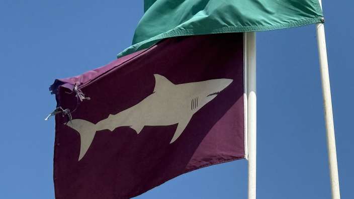 Eine lila und grüne Flagge mit einem Hai darauf