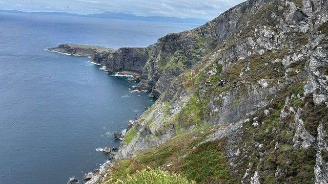 Eine Klippe über dem Ozean mit einer gelben Blume darauf