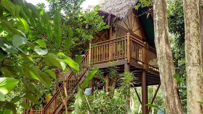 Ein Baumhaus im Dschungel mit Holztreppen