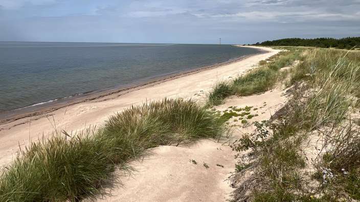 Ein sandiger Weg führt an einem Strand ins Meer