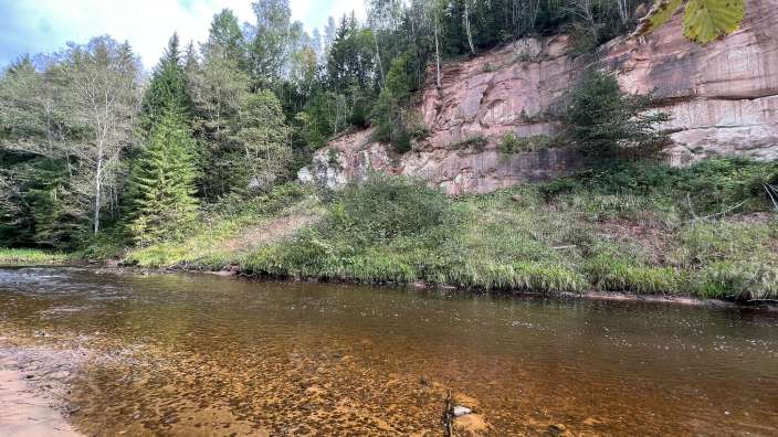 Ein Fluss, der durch einen Wald fließt