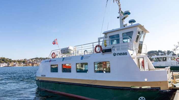Ein grün-weißes Boot mit der Aufschrift neas an einem Dock