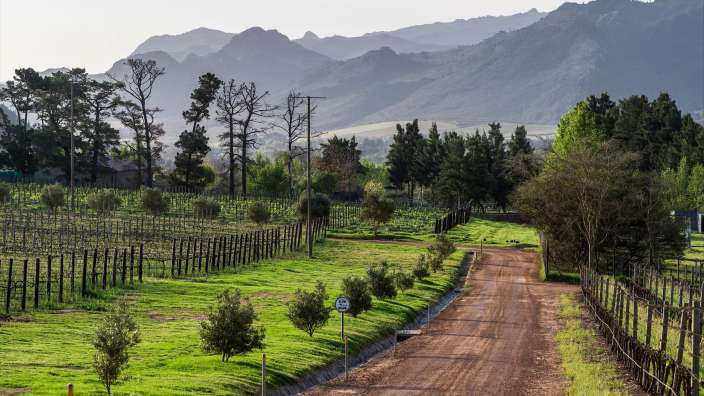 Franschhoek Eine unbefestigte Straße führt durch einen Weinberg mit Bergen im Hintergrund