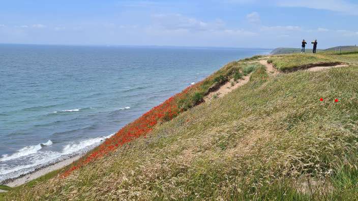 Menschen stehen auf einer Klippe mit Blick auf das Meer