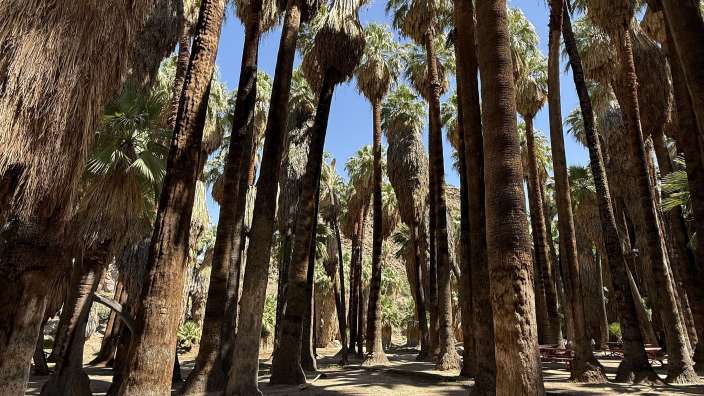 Andras Canyon Trail bei Palm Springs
