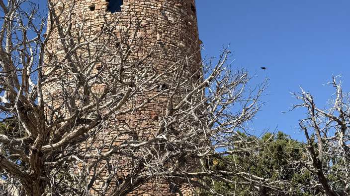 Dessert View Point am Rand des Grand Canyon