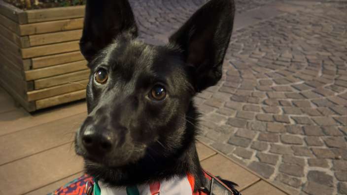 Damit es jeder und jede weiß "Ich heiße Thorin"