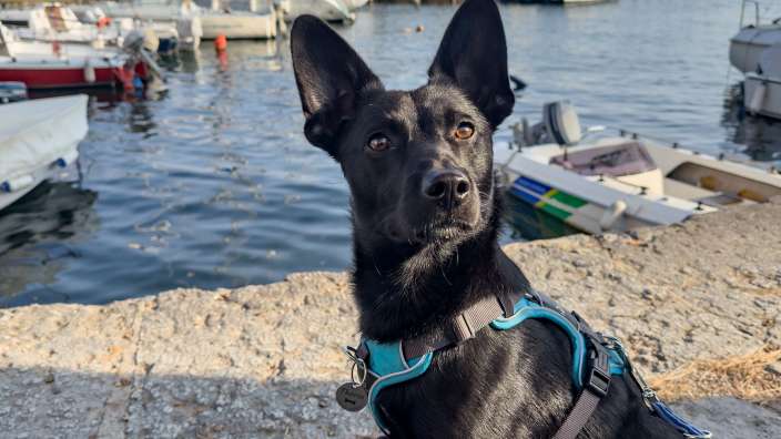 Ich finde, das war eine tolle Reise 