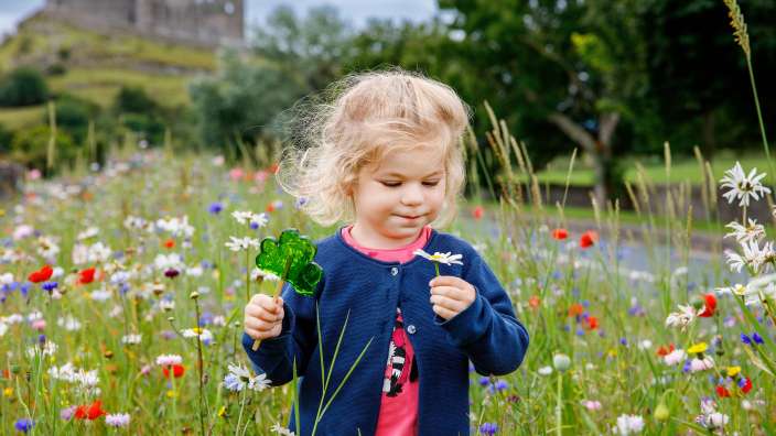 Ein blondes kleines Mädchen steht in einem blühenden Feld mit einem Kleeblatt-Lutscher in der Hand und einer Blume vor einer Burg.