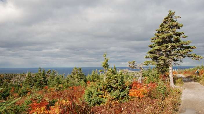 Indian Summer