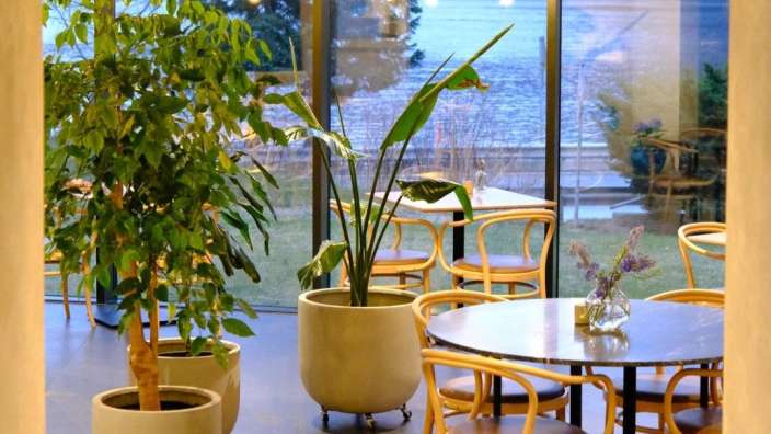 Ein großes grünes Zimmerpflanzen steht in einem Topf auf dem Boden neben einem runden Tisch mit Stühlen in einem Restaurant mit großen Fenstern, die auf einen See blicken.