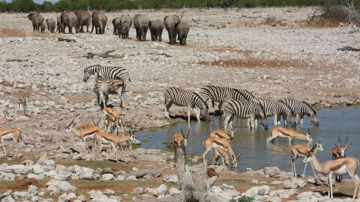 Etosha - Okaukuejo