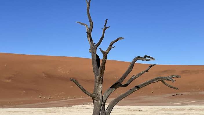 Deadvlei
