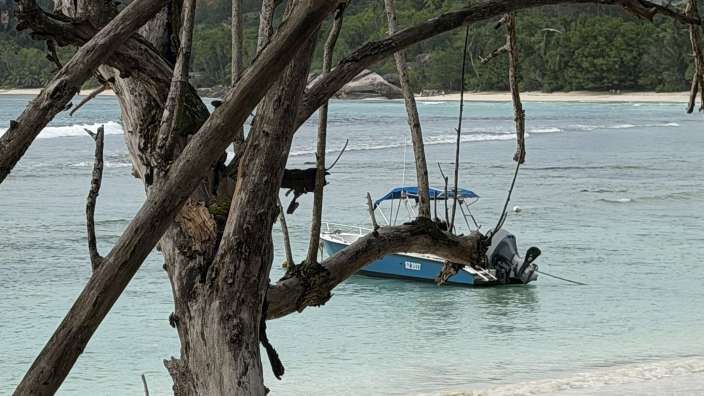 Ein Boot liegt im türkisfarbenen Wasser vor einem tropischen Strand, wie von einem verdorrten Baumast aus gesehen.