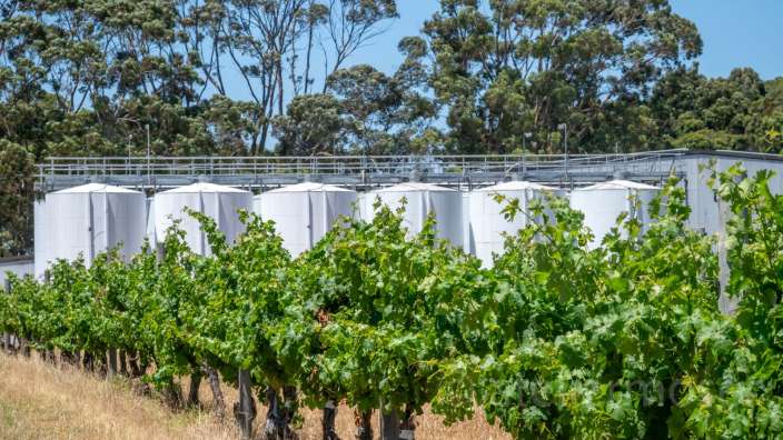Felix Vasse Winery, Margret River