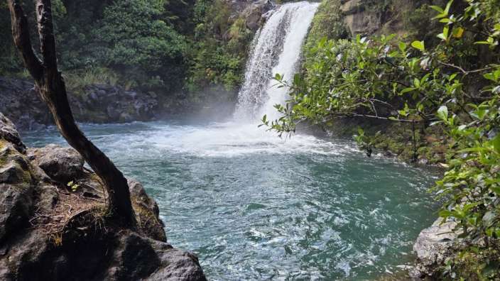 Ein Wasserfall stürzt in einen türkisfarbenen Pool, umgeben von üppiger Vegetation und Felsen.