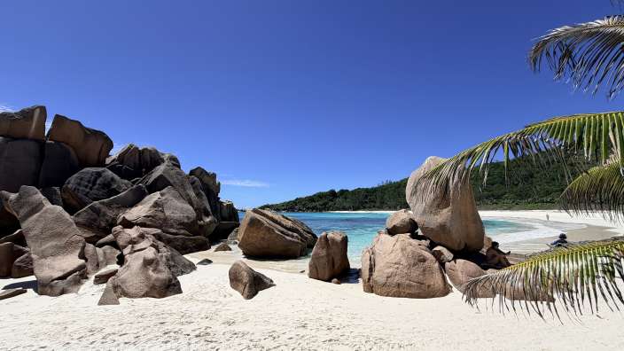 Ein Strand mit großen Felsen, weißem Sand, türkisfarbenem Wasser und Palmenblättern im Vordergrund unter einem blauen Himmel.