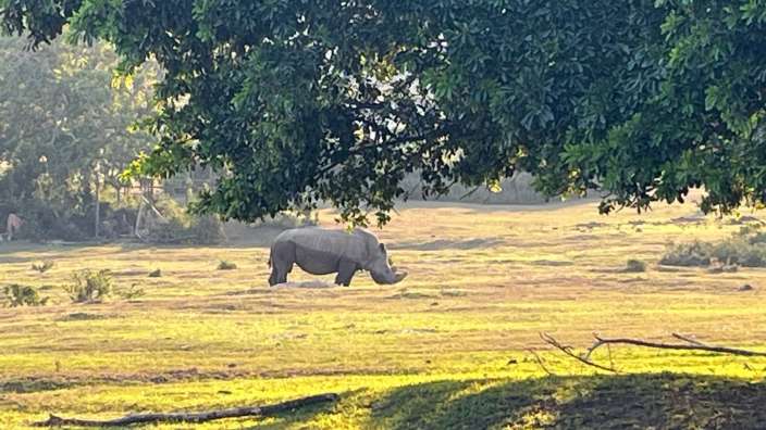 Schotia Private Game Reserve, wunderschönes Erlebnis