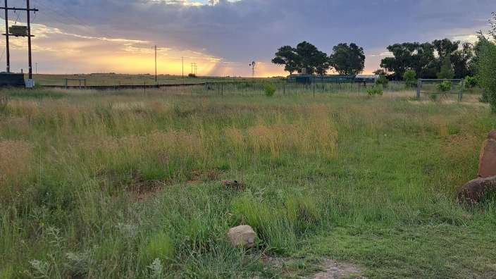 Auf einer Farm nahe Bloemfontain