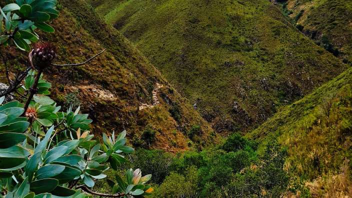 Jonkershoek nature reserve