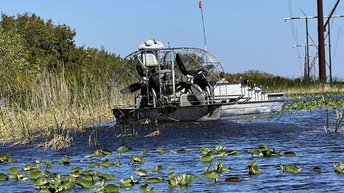 Fahrt durch die Everglades