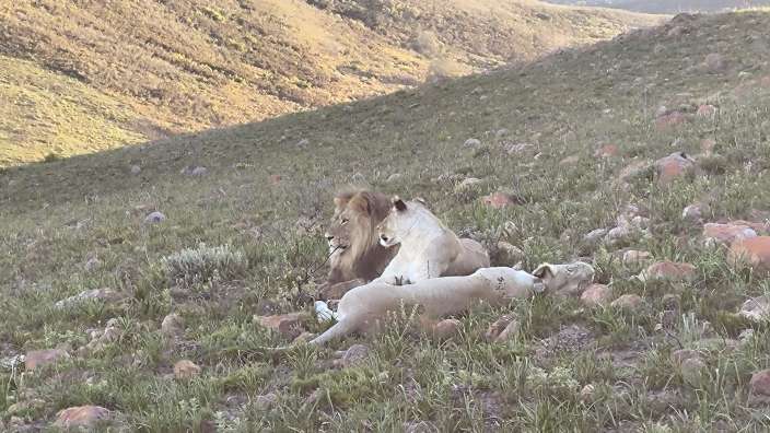 Safari Gondwana Game Reserve