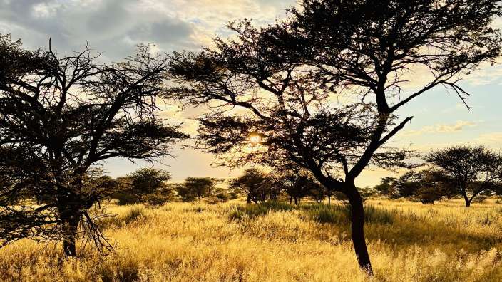 Wunderschönes Namibia 