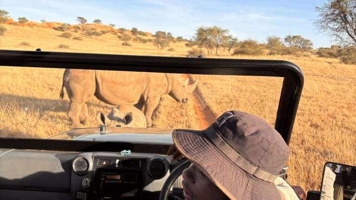 Watch out for Rhinos!