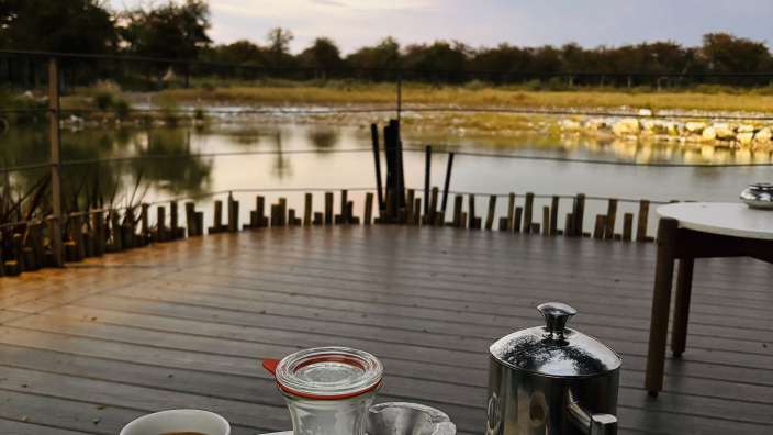 Start in den Tag am Wasserloch 