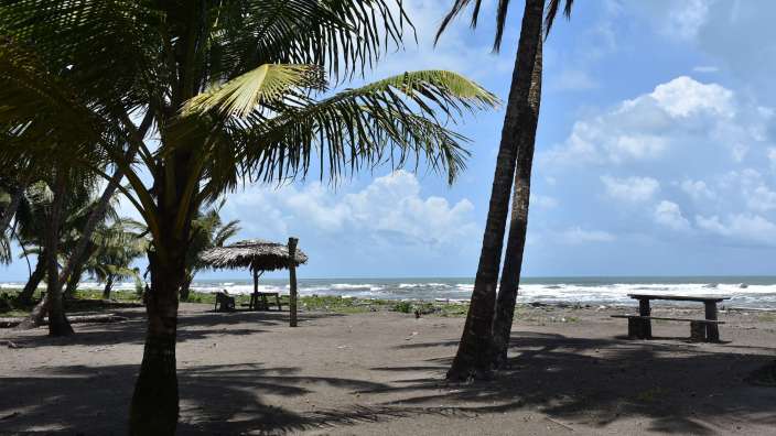 Ein Strand mit Palmen, einem Strohschirmschutz und Holzbänken unter einem bewölkten Himmel.