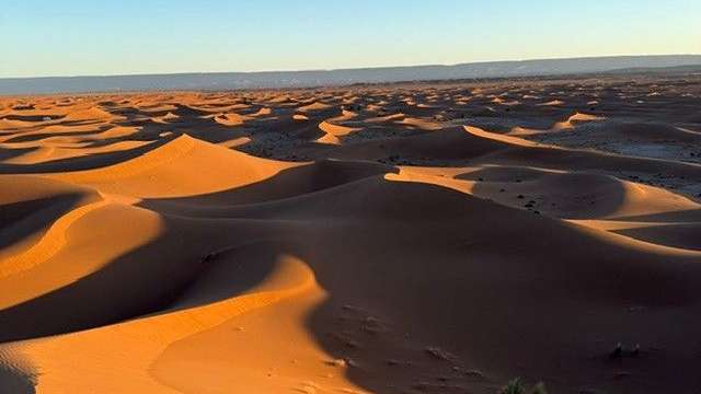 Das Bild zeigt eine weite Sanddünenlandschaft unter einem klaren, blauen Himmel.