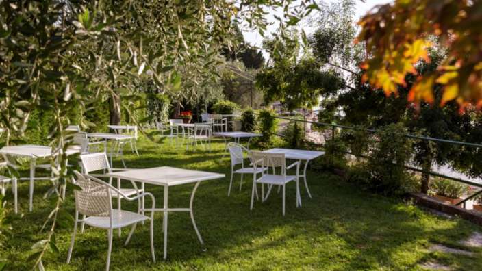 Ein Garten mit vielen Tischen und Stühlen unter Olivenbäumen mit Blick auf ein Gewässer.