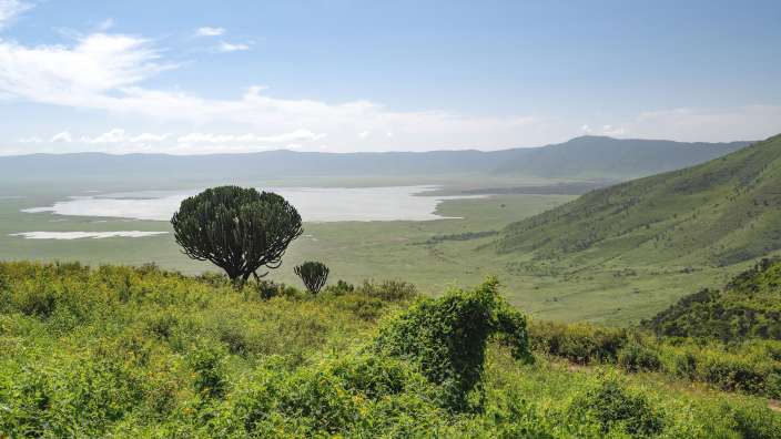 Eine weite Landschaft mit einem See, bewaldeten Hügeln und einem großen Kaktus im Vordergrund.