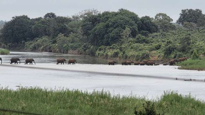 Frühstück mit Elefanten in Lower Sabie