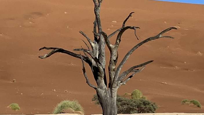 Deadvlei