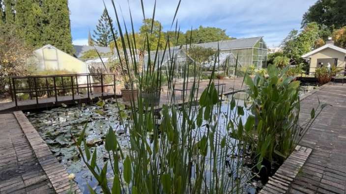 Botanischer Garten in Stellenbosch