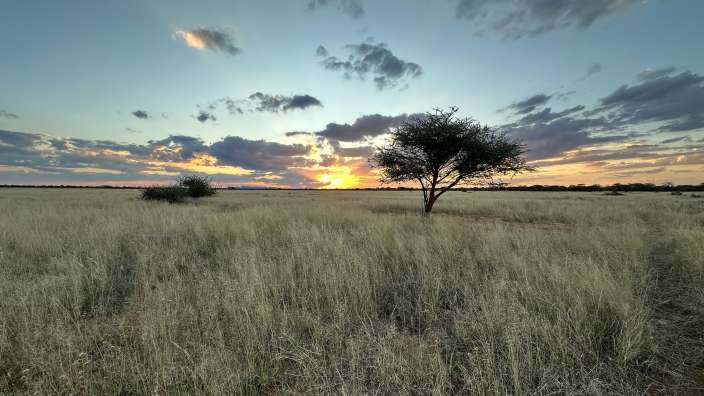 Waterberg sundowner