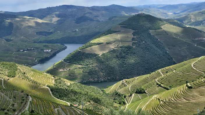 Eine weite Landschaft mit steilen, terrassierten Weinbergen, die sich in ein grünes Tal mit einem Fluss winden.