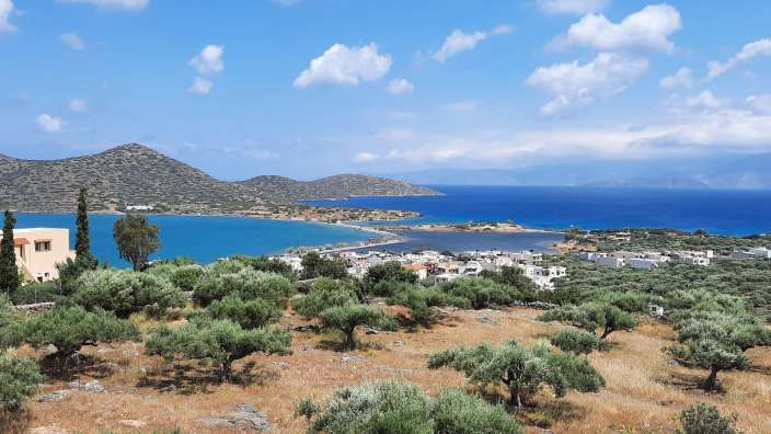 Das Bild zeigt eine sonnige Landschaft mit einem blauen Meer, einer kleinen Stadt und vielen Olivenbäumen im Vordergrund.