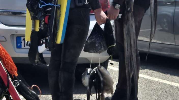 Zwei Taucher in Neoprenanzügen halten Fische und eine Tasche, während sie vor einem Auto stehen.